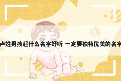 卢姓男孩起什么名字好听 一定要独特优美的名字