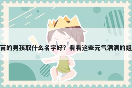 姓苗的男孩取什么名字好？看看这些元气满满的组合