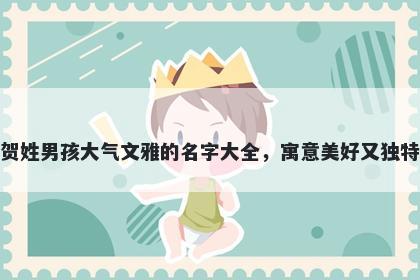 贺姓男孩大气文雅的名字大全，寓意美好又独特