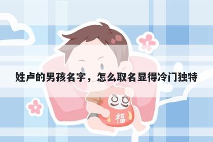 姓卢的男孩名字，怎么取名显得冷门独特