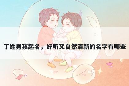 丁姓男孩起名，好听又自然清新的名字有哪些