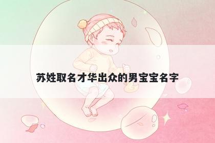 苏姓取名才华出众的男宝宝名字