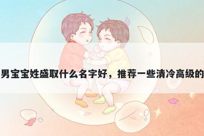 刚出生的男宝宝姓盛取什么名字好，推荐一些清冷高级的男孩名字