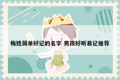 梅姓简单好记的名字 男孩好听易记推荐