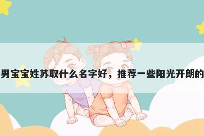 刚出生的男宝宝姓苏取什么名字好，推荐一些阳光开朗的男孩名字