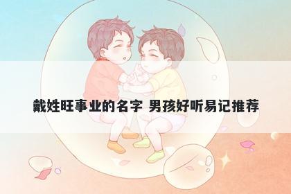 戴姓旺事业的名字 男孩好听易记推荐