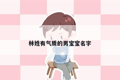 林姓有气质的男宝宝名字