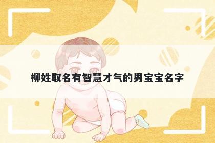 柳姓取名有智慧才气的男宝宝名字