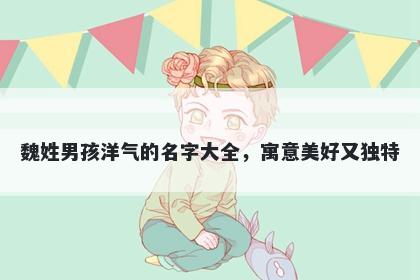 魏姓男孩洋气的名字大全，寓意美好又独特