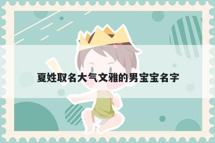 夏姓取名大气文雅的男宝宝名字