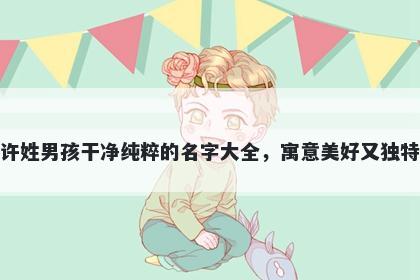 许姓男孩干净纯粹的名字大全，寓意美好又独特