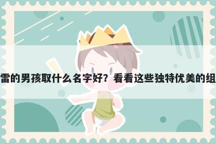 姓雷的男孩取什么名字好？看看这些独特优美的组合