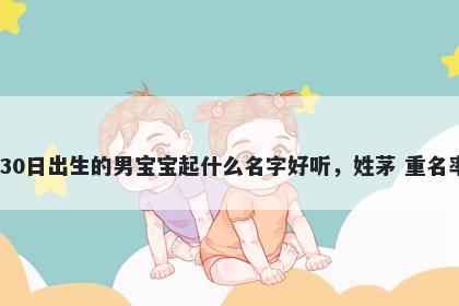 2026年-03月-30日出生的男宝宝起什么名字好听,姓茅 重名率低的名字推荐