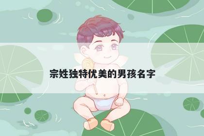 宗姓独特优美的男孩名字