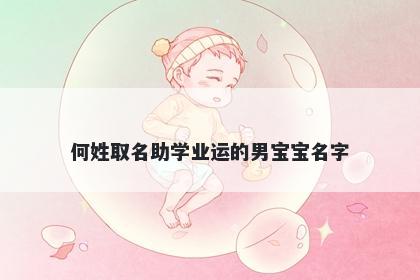 何姓取名助学业运的男宝宝名字