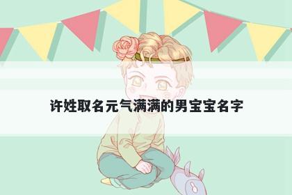 许姓取名元气满满的男宝宝名字