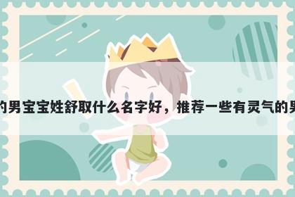 刚出生的男宝宝姓舒取什么名字好，推荐一些有灵气的男孩名字