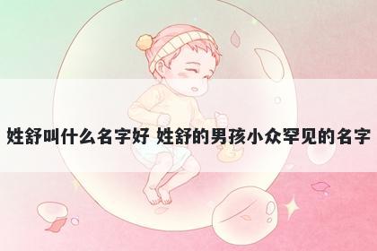 姓舒叫什么名字好 姓舒的男孩小众罕见的名字