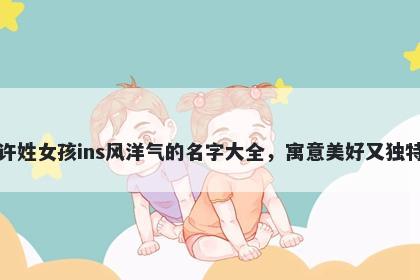 许姓女孩ins风洋气的名字大全，寓意美好又独特