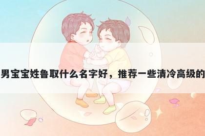 刚出生的男宝宝姓鲁取什么名字好，推荐一些清冷高级的男孩名字