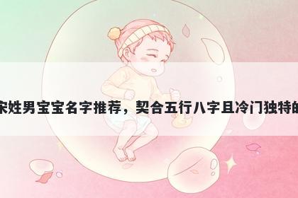 宋姓男宝宝名字推荐，契合五行八字且冷门独特的