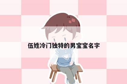 伍姓冷门独特的男宝宝名字