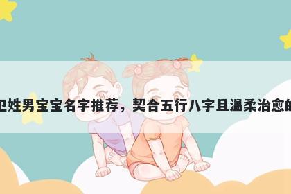 卫姓男宝宝名字推荐，契合五行八字且温柔治愈的