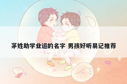 茅姓助学业运的名字 男孩好听易记推荐