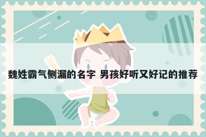 魏姓霸气侧漏的名字 男孩好听又好记的推荐