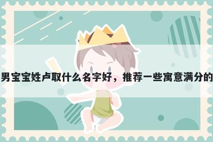 刚出生的男宝宝姓卢取什么名字好，推荐一些寓意满分的男孩名字