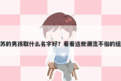姓苏的男孩取什么名字好？看看这些潮流不俗的组合