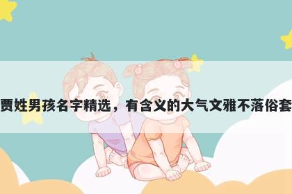 贾姓男孩名字精选，有含义的大气文雅不落俗套