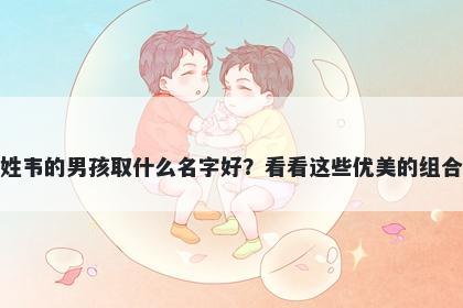 姓韦的男孩取什么名字好？看看这些优美的组合