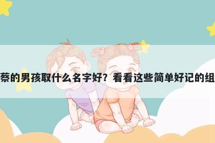 姓蔡的男孩取什么名字好?看看这些简单好记的组合