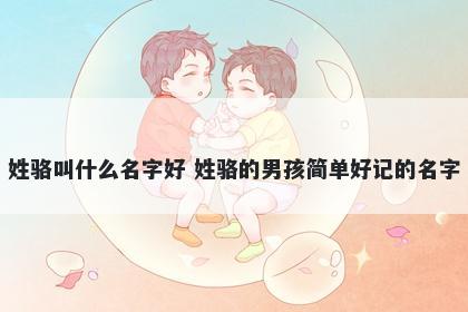 姓骆叫什么名字好 姓骆的男孩简单好记的名字