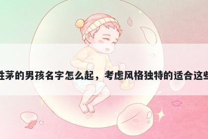 姓茅的男孩名字怎么起，考虑风格独特的适合这些