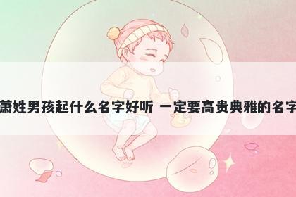 萧姓男孩起什么名字好听 一定要高贵典雅的名字