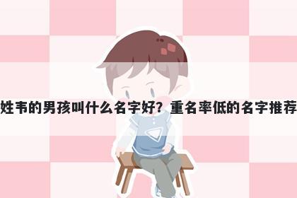 姓韦的男孩叫什么名字好？重名率低的名字推荐