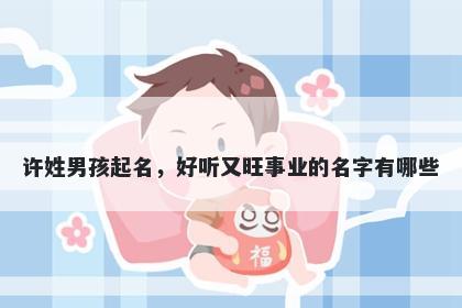 许姓男孩起名，好听又旺事业的名字有哪些