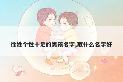 徐姓个性十足的男孩名字,取什么名字好