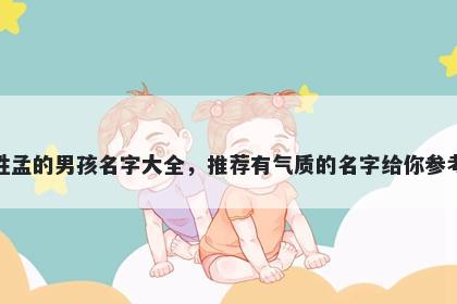 姓孟的男孩名字大全,推荐有气质的名字给你参考