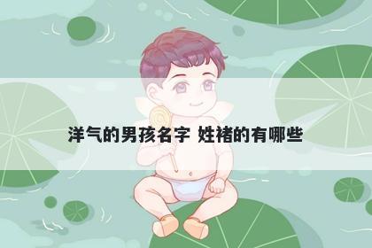 洋气的男孩名字 姓褚的有哪些