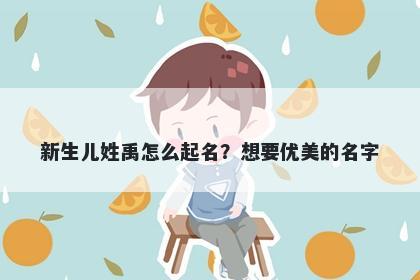 新生儿姓禹怎么起名？想要优美的名字