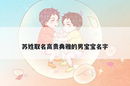 苏姓取名高贵典雅的男宝宝名字