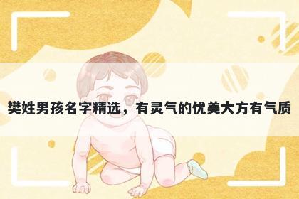 樊姓男孩名字精选，有灵气的优美大方有气质