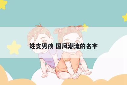 姓支男孩 国风潮流的名字