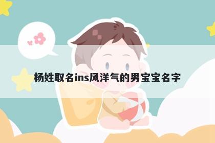 杨姓取名ins风洋气的男宝宝名字