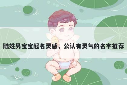 陆姓男宝宝起名灵感，公认有灵气的名字推荐
