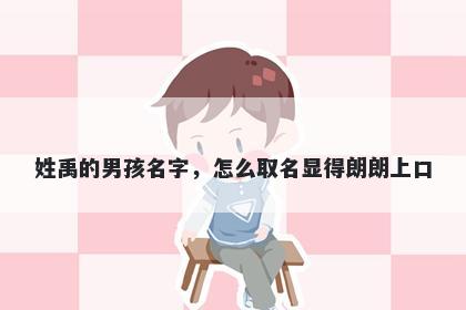 姓禹的男孩名字，怎么取名显得朗朗上口