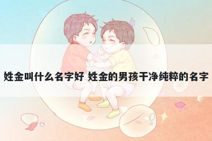 姓金叫什么名字好 姓金的男孩干净纯粹的名字